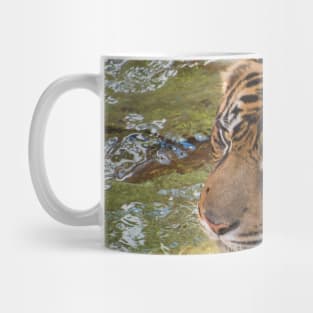 Tiger playing in some water Mug